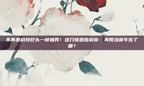 不再是科技巨头一枝独秀！这几张图告诉你：美股当前牛在了哪？