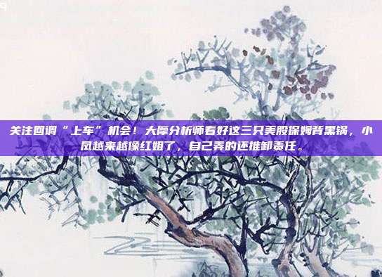 关注回调“上车”机会！大摩分析师看好这三只美股保姆背黑锅，小凤越来越像红姐了，自己弄的还推卸责任。