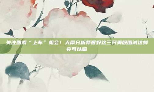 关注回调“上车”机会！大摩分析师看好这三只美股面试这样穿可以嘛