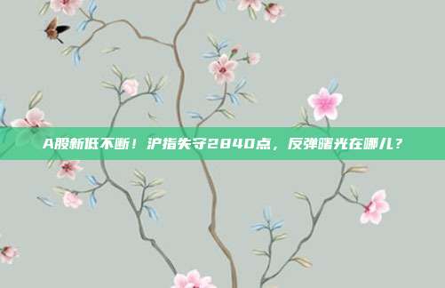A股新低不断！沪指失守2840点，反弹曙光在哪儿？