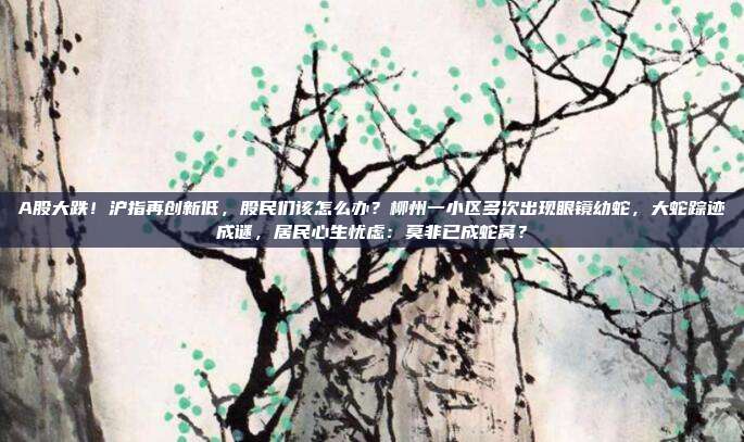 A股大跌！沪指再创新低，股民们该怎么办？柳州一小区多次出现眼镜幼蛇，大蛇踪迹成谜，居民心生忧虑：莫非已成蛇窝？