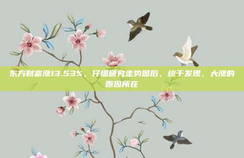 东方财富涨13.53%，仔细研究走势图后，终于发现，大涨的原因所在