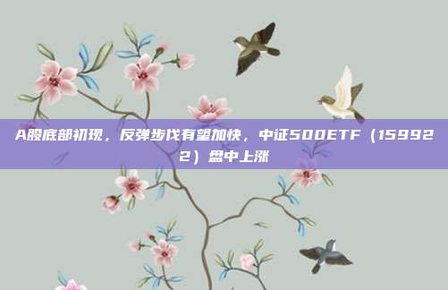 A股底部初现，反弹步伐有望加快，中证500ETF（159922）盘中上涨