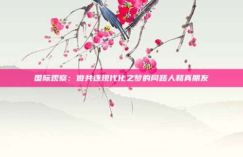 国际观察：做共逐现代化之梦的同路人和真朋友