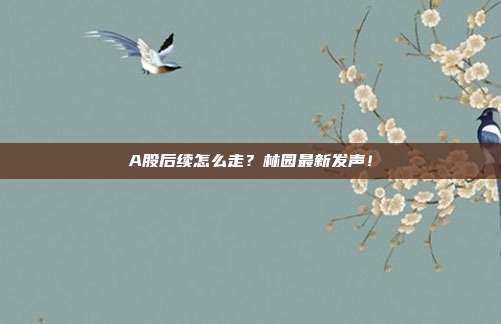 A股后续怎么走？林园最新发声！