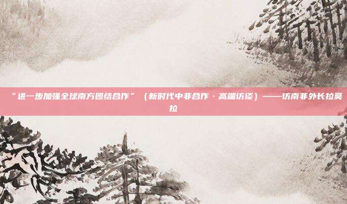 “进一步加强全球南方团结合作”（新时代中非合作·高端访谈）——访南非外长拉莫拉