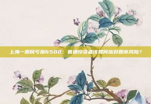 上海一股民亏损6500:普通投资者该如何应对股市风险? 第1张 上海一股民亏损6500:普通投资者该如何应对股市风险? 第1张