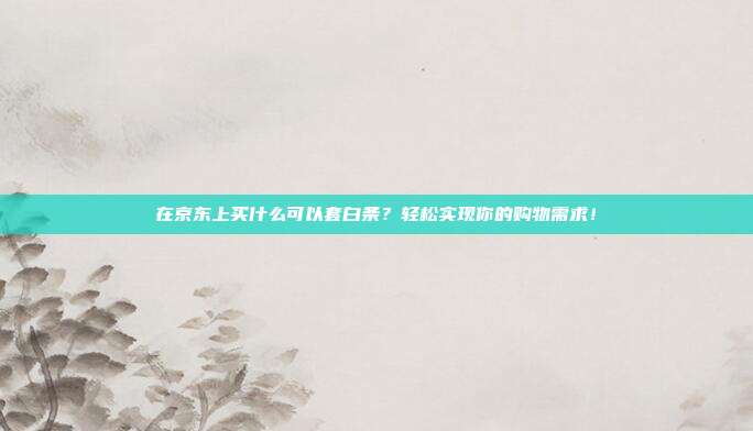 在京东上买什么可以套白条？轻松实现你的购物需求！