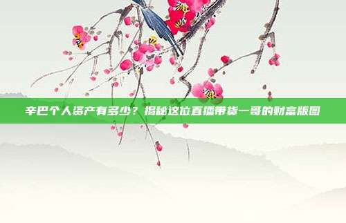 辛巴个人资产有多少?揭秘这位直播带货一哥的财富版图 第1张 辛巴个人资产有多少?揭秘这位直播带货一哥的财富版图 第1张