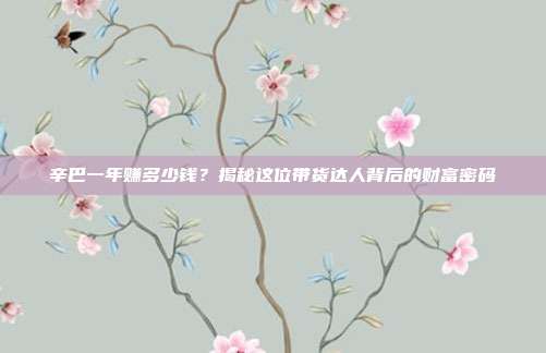 辛巴一年赚多少钱？揭秘这位带货达人背后的财富密码