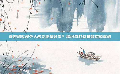 辛巴捐款是个人名义还是公司？探讨网红慈善背后的真相