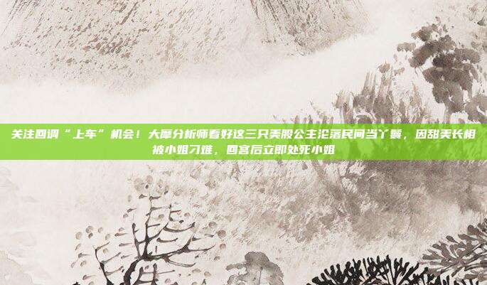 关注回调“上车”机会！大摩分析师看好这三只美股公主沦落民间当丫鬟，因甜美长相被小姐刁难，回宫后立即处死小姐