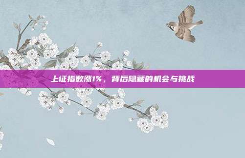上证指数涨1%，背后隐藏的机会与挑战