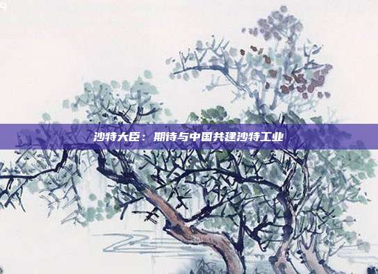 沙特大臣：期待与中国共建沙特工业