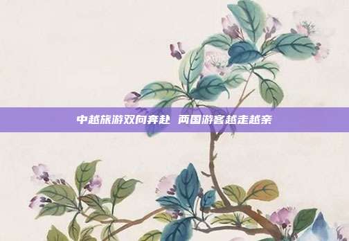 中越旅游双向奔赴 两国游客越走越亲