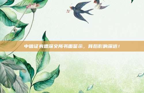 中信证券遭深交所书面警示,背后影响深远! 第1张 中信证券遭深交所书面警示,背后影响深远! 第1张
