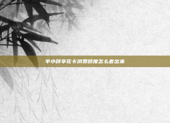 羊小咩享花卡消费额度怎么套出来 第1张 羊小咩享花卡消费额度怎么套出来 第1张