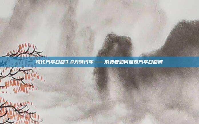 现代汽车召回3.8万辆汽车——消费者如何应对汽车召回潮