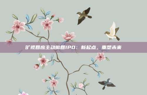 旷视回应主动撤回IPO：新起点，重塑未来