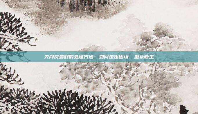 欠网贷最好的处理方法：如何走出困境、重获新生