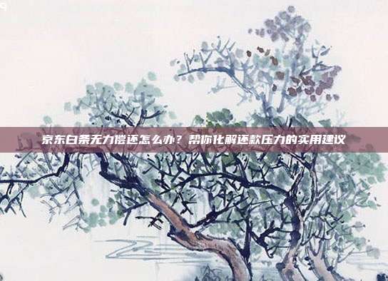 京东白条无力偿还怎么办？帮你化解还款压力的实用建议