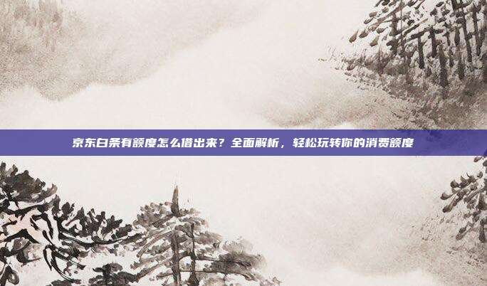 京东白条有额度怎么借出来？全面解析，轻松玩转你的消费额度