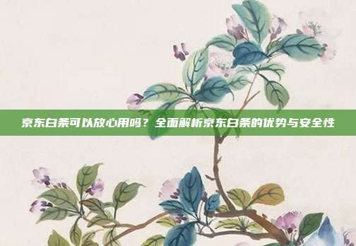 京东白条可以放心用吗？全面解析京东白条的优势与安全性