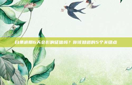 白条逾期6天会影响征信吗？你该知道的5个关键点
