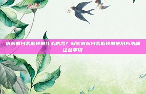 京东的白条取现是什么意思？解密京东白条取现的使用方法和注意事项
