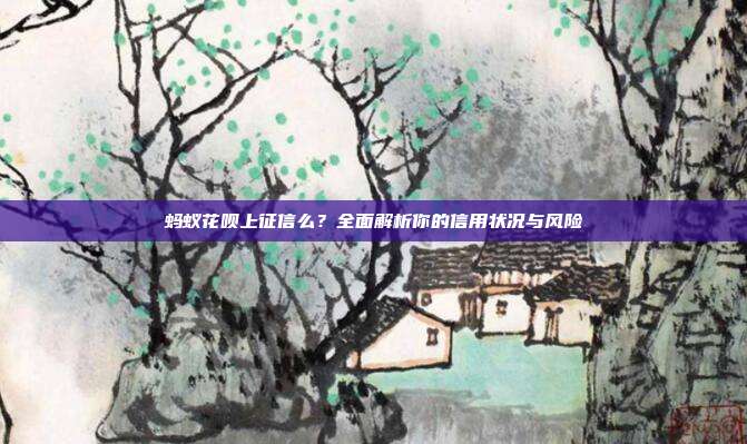 蚂蚁花呗上征信么？全面解析你的信用状况与风险