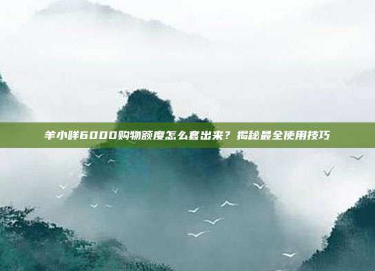 羊小咩6000购物额度怎么套出来？揭秘最全使用技巧