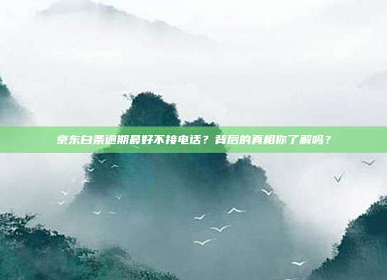 京东白条逾期最好不接电话？背后的真相你了解吗？