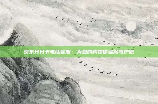 京东分分卡电话客服：为您的购物体验保驾护航