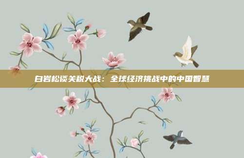 白岩松谈关税大战：全球经济挑战中的中国智慧