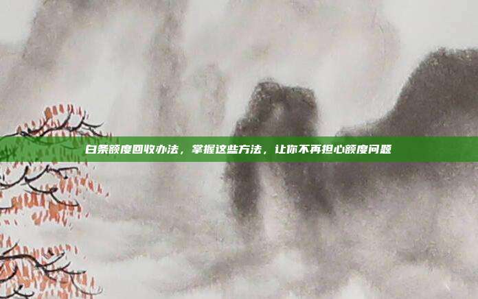 白条额度回收办法，掌握这些方法，让你不再担心额度问题