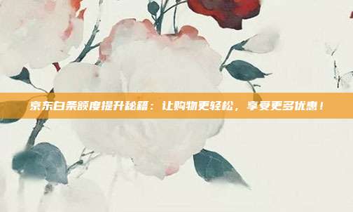 京东白条额度提升秘籍：让购物更轻松，享受更多优惠！