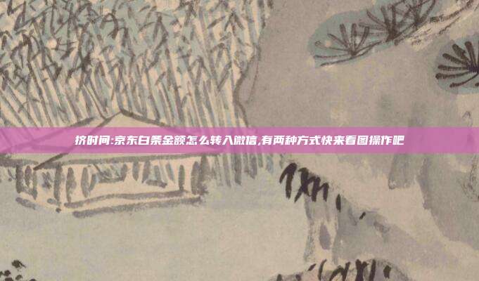 挤时间:京东白条金额怎么转入微信,有两种方式快来看图操作吧