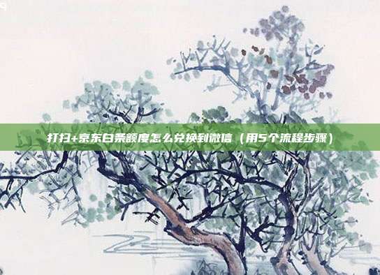 打扫+京东白条额度怎么兑换到微信（用5个流程步骤）