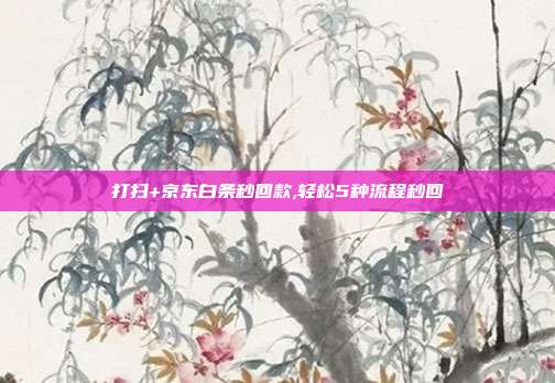 打扫+京东白条秒回款,轻松5种流程秒回 第1张 打扫+京东白条秒回款,轻松5种流程秒回 第1张