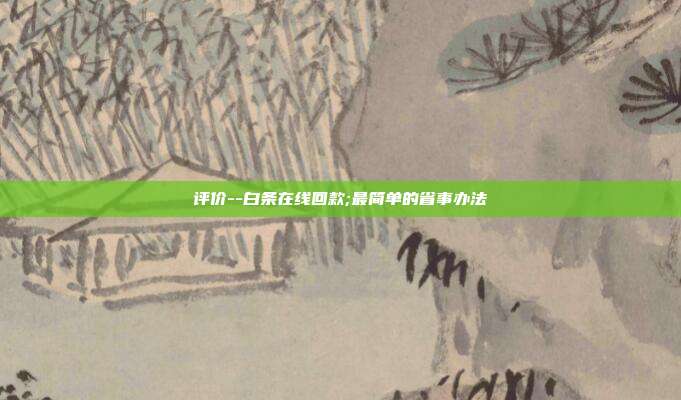 评价--白条在线回款;最简单的省事办法