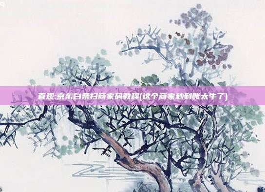 直观:京东白条扫商家码教程(这个商家秒到账太牛了)