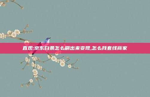 直观:京东白条怎么刷出来变现,怎么找套线商家 第1张 直观:京东白条怎么刷出来变现,怎么找套线商家 第1张
