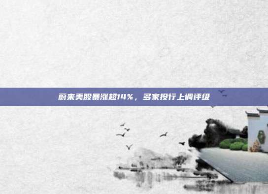 蔚来美股暴涨超14%，多家投行上调评级