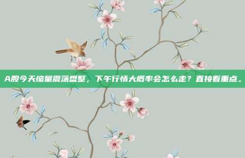 A股今天缩量震荡盘整，下午行情大概率会怎么走？直接看重点。