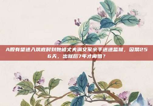 A股有望进入筑底时刻她被丈夫满文军亲手送进监狱，囚禁256天，出狱后7年才离婚？