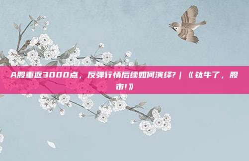 A股重返3000点，反弹行情后续如何演绎?｜《钛牛了，股市!》