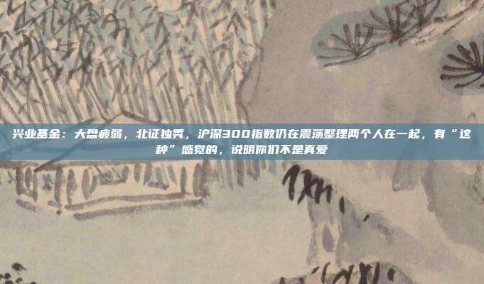 兴业基金：大盘疲弱，北证独秀，沪深300指数仍在震荡整理两个人在一起，有“这种”感觉的，说明你们不是真爱