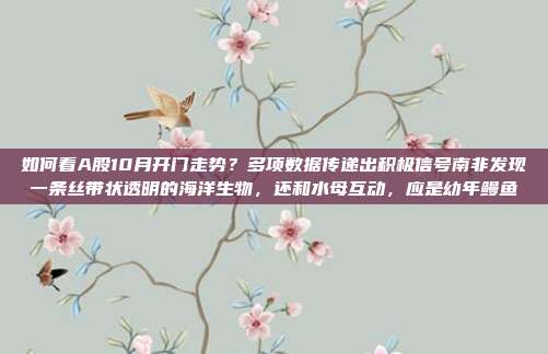 如何看A股10月开门走势？多项数据传递出积极信号南非发现一条丝带状透明的海洋生物，还和水母互动，应是幼年鳗鱼