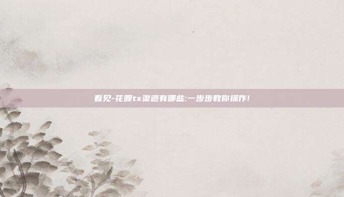 看见-花呗tx渠道有哪些:一步步教你操作!