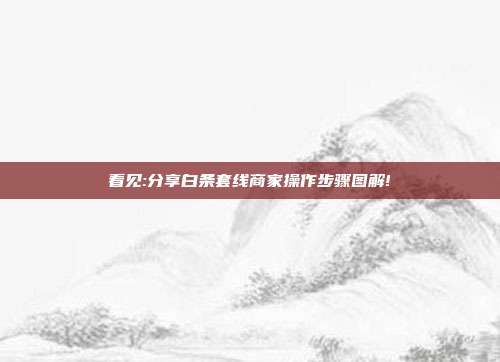 看见:分享白条套线商家操作步骤图解!